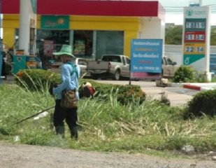 TRABAJADOR FUMIGADOR 02